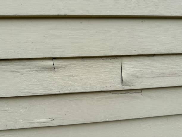 Best Steel Siding Installation  in Strathmore, NJ